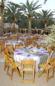 pic8.jpg
