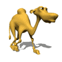 jerry_camel_walking_sm_nwm.gif
